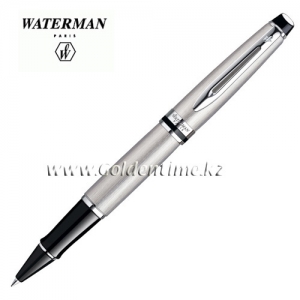 Ручка Waterman Expert Essential Stainless Steel CT S0952080