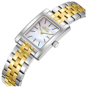 Наручные часы Slazenger SL.09.2505.3.04