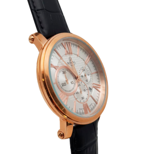 Наручные часы Royal London 41496-04