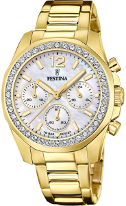 Наручные часы Festina F20609/1