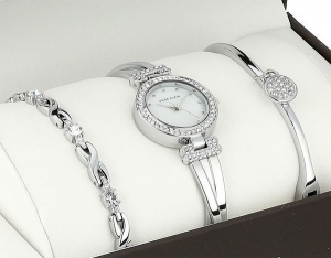 Наручные часы Anne Klein AK/1869SVST