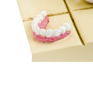 Фигурка Guillermo Forchino "Стоматолог" FO84005