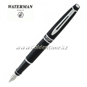 Ручка Waterman Expert Matte Black CT S0701300