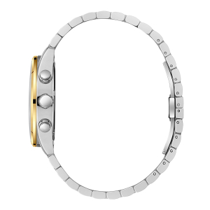 Наручные часы Slazenger SL.09.2493.2.05