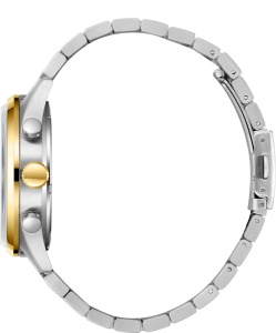 Наручные часы Slazenger SL.09.2502.2.05